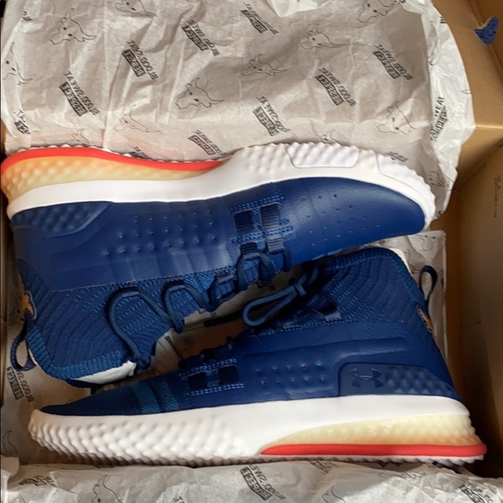 Under Armour Project Rock Shoes